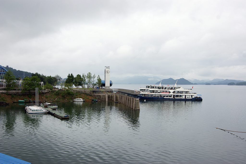 dsc00236.jpg