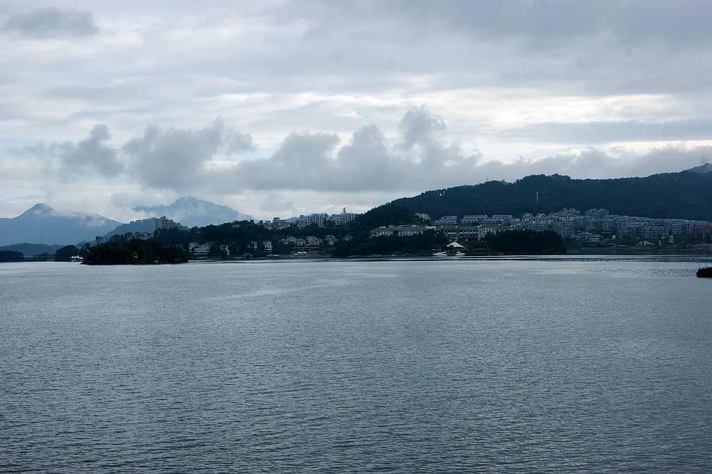 dsc00241.jpg