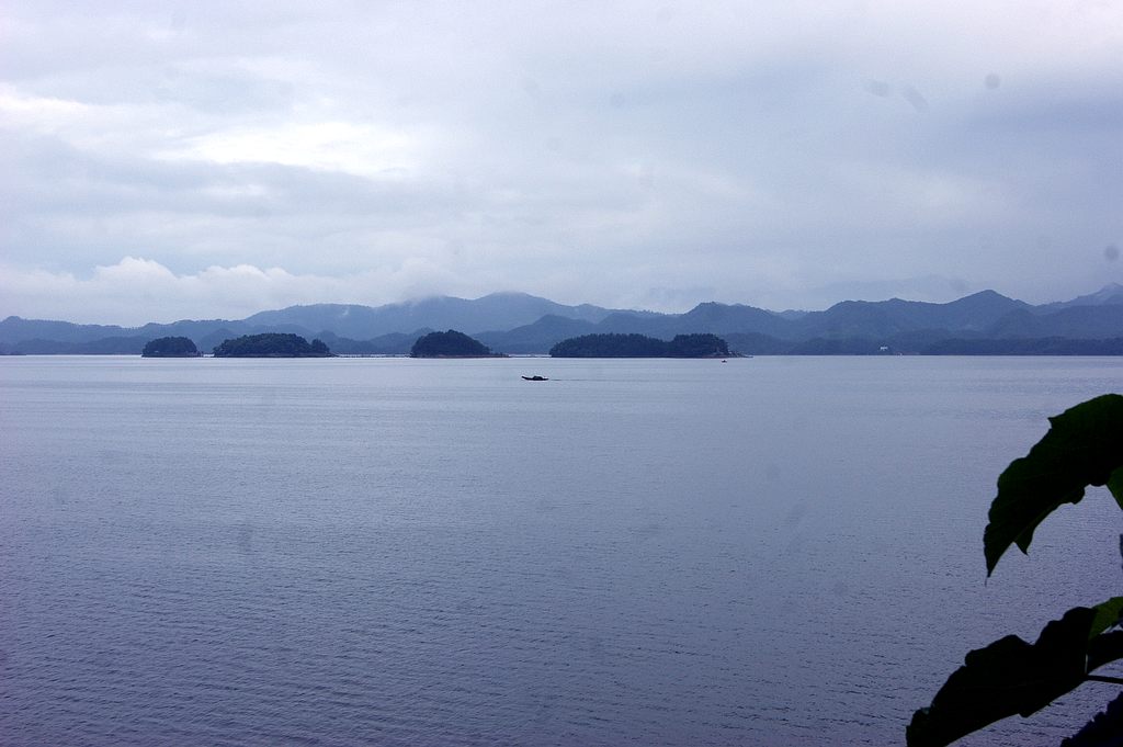 dsc00245.jpg
