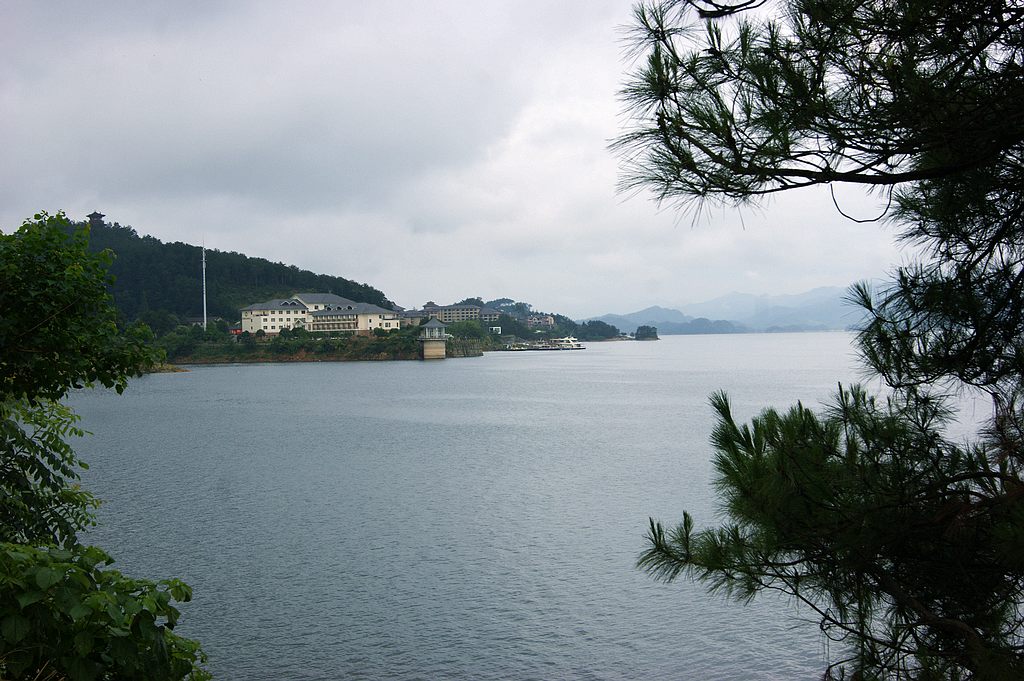 dsc00244.jpg