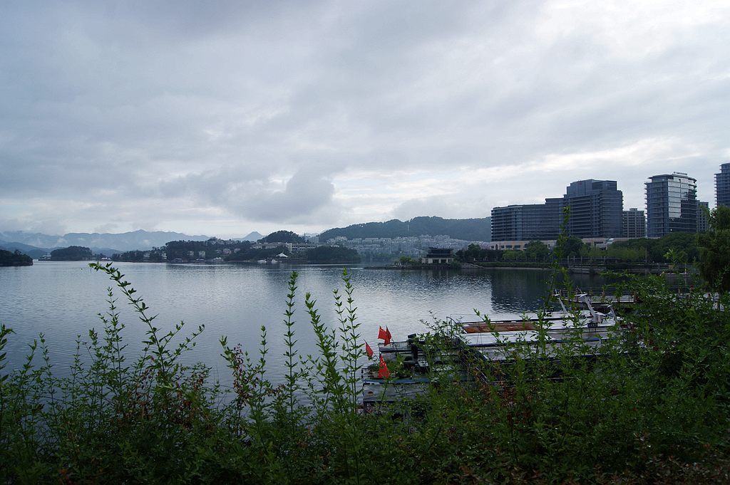 dsc00232.jpg