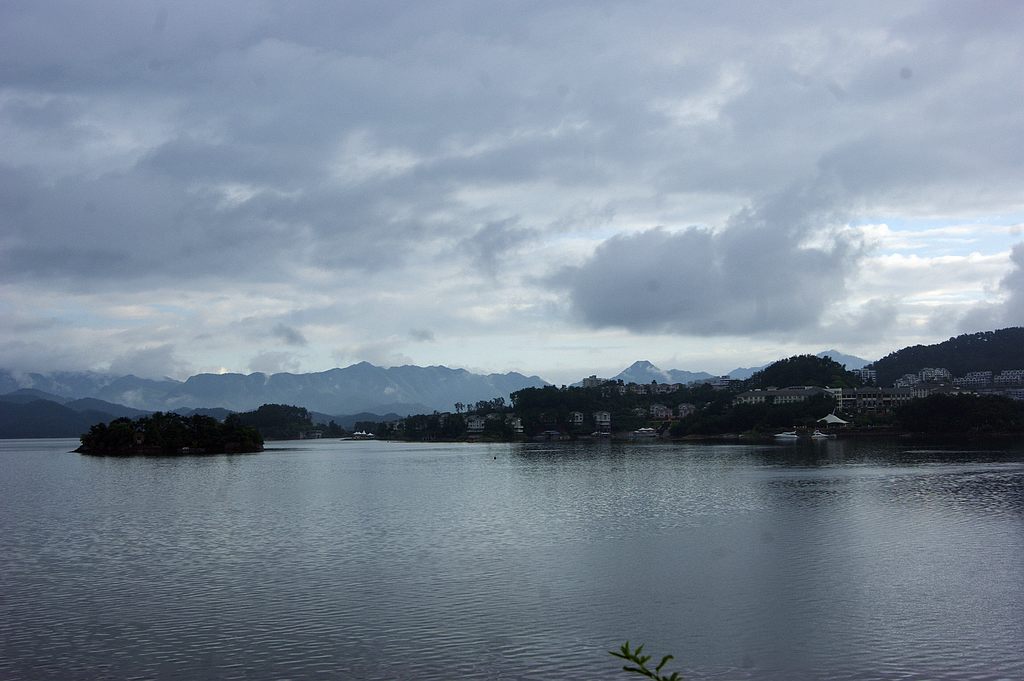 dsc00234.jpg