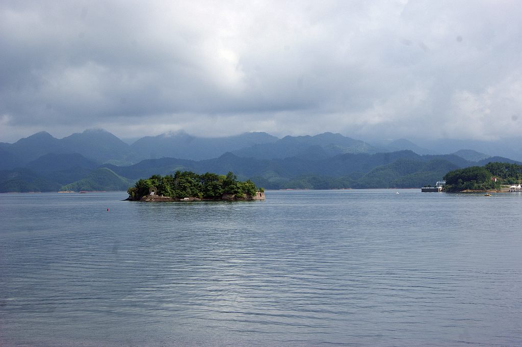 dsc00294.jpg