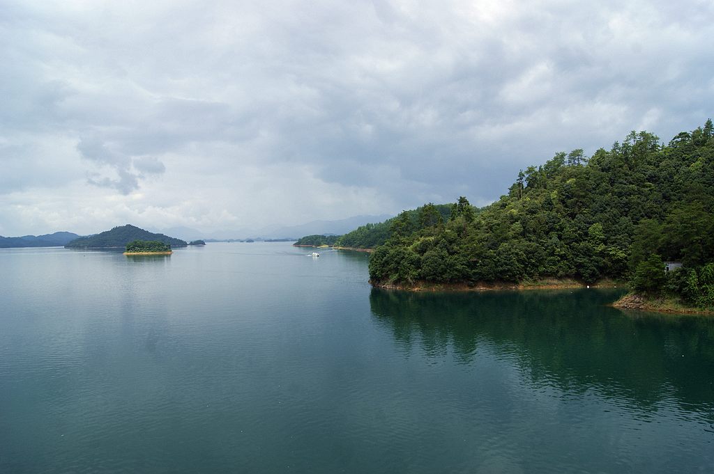 dsc00319.jpg