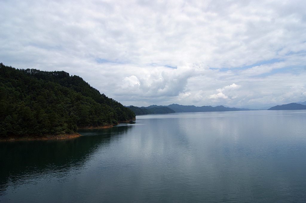 dsc00322.jpg