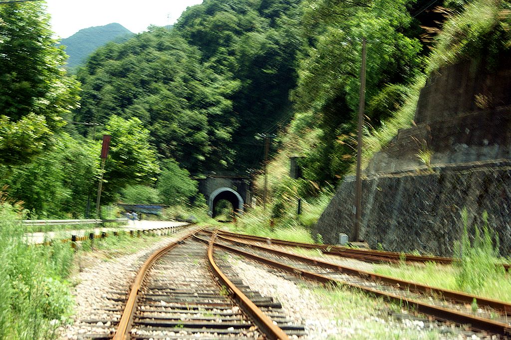 dsc00353.jpg