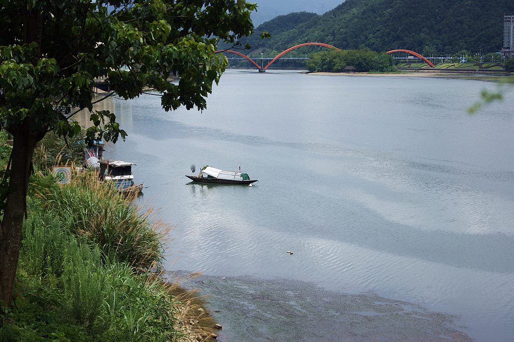 dsc00384.jpg
