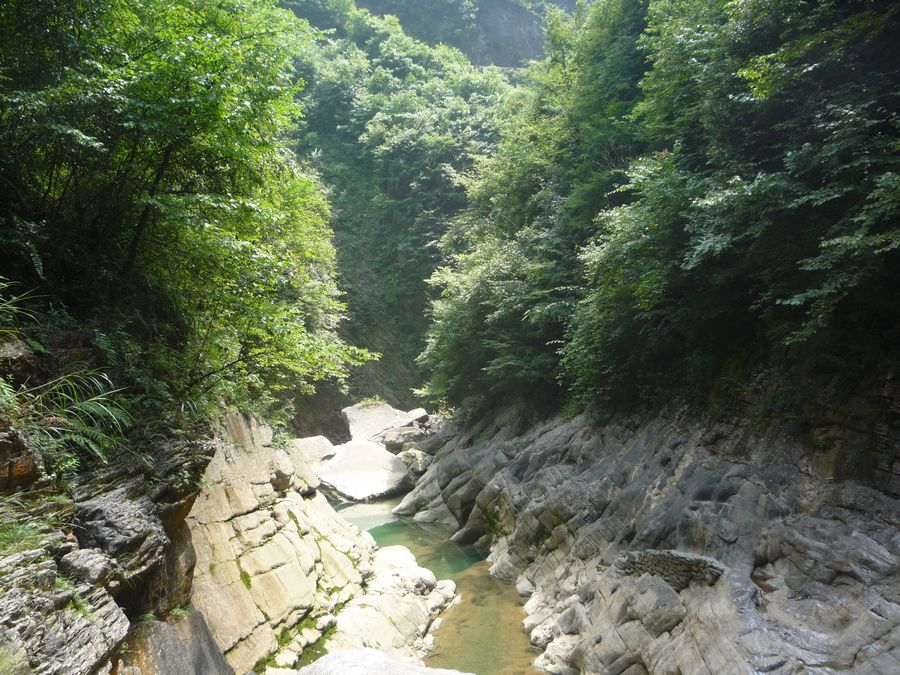 p1120341.jpg