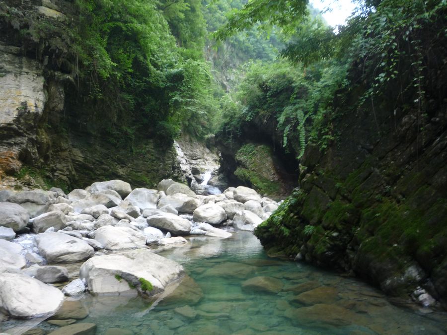 p1120371.jpg