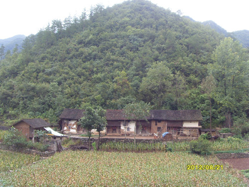 sdc14018_.jpg
