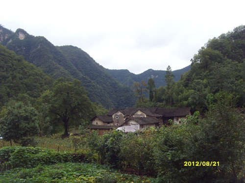 sdc14016_.jpg