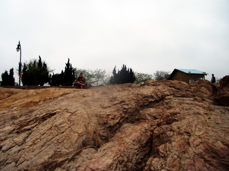 dscf0267.jpg