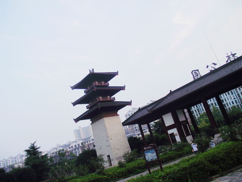 dscf5063kk.jpg