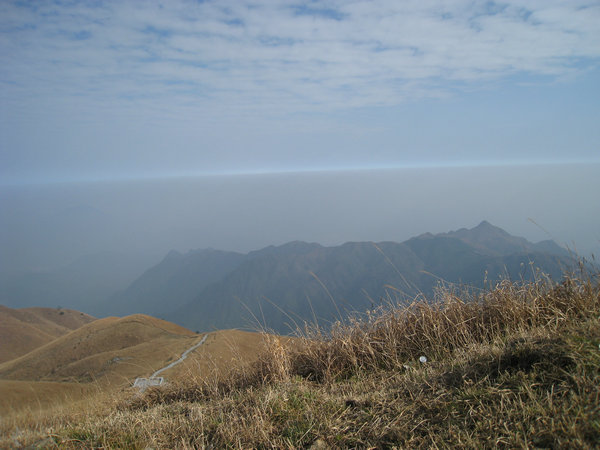 img_1505.jpg