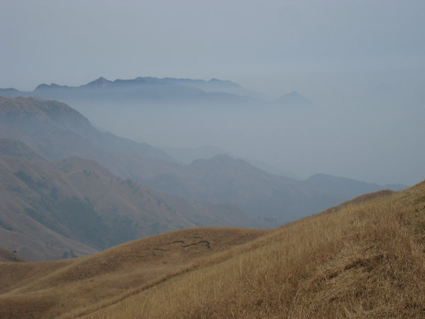 img_1459.jpg