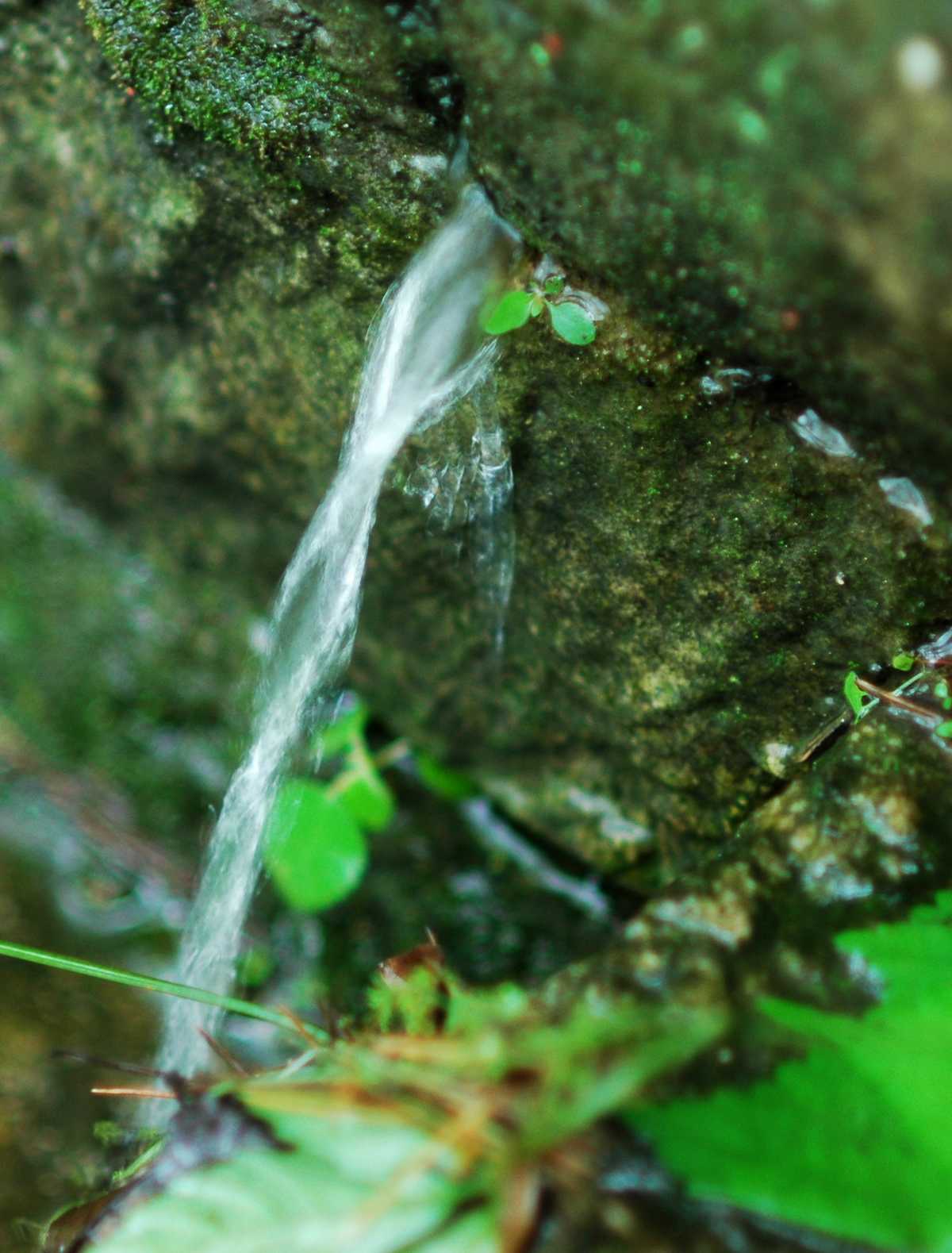 dsc_6071.jpg