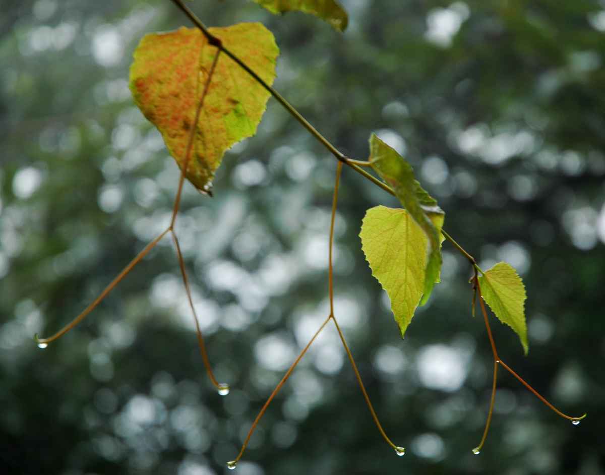 dsc_6128.jpg