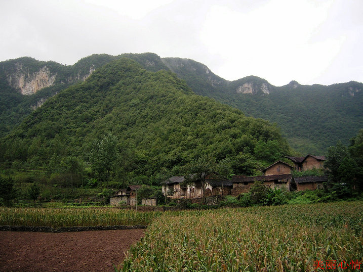 dscn4210_.jpg