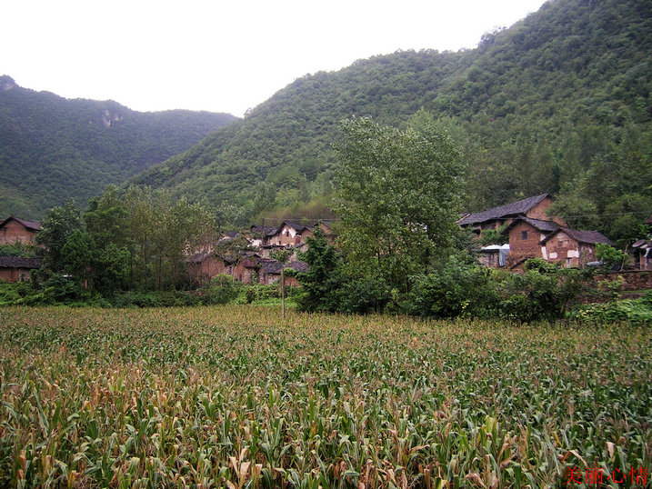 dscn4211_.jpg