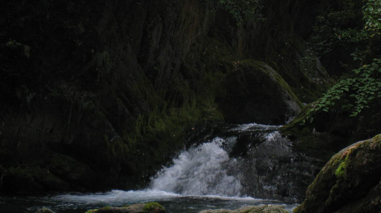 С ũ 079.jpg