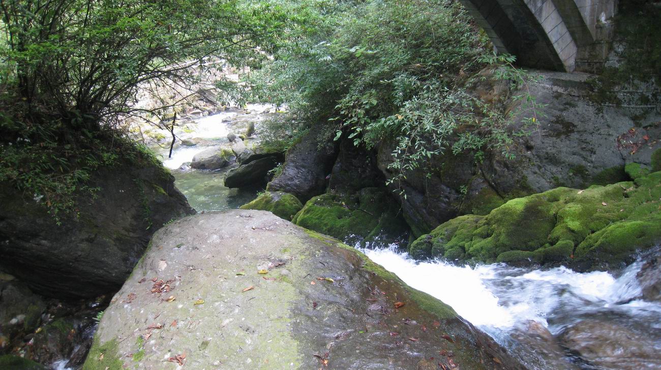 С ũ 080.jpg