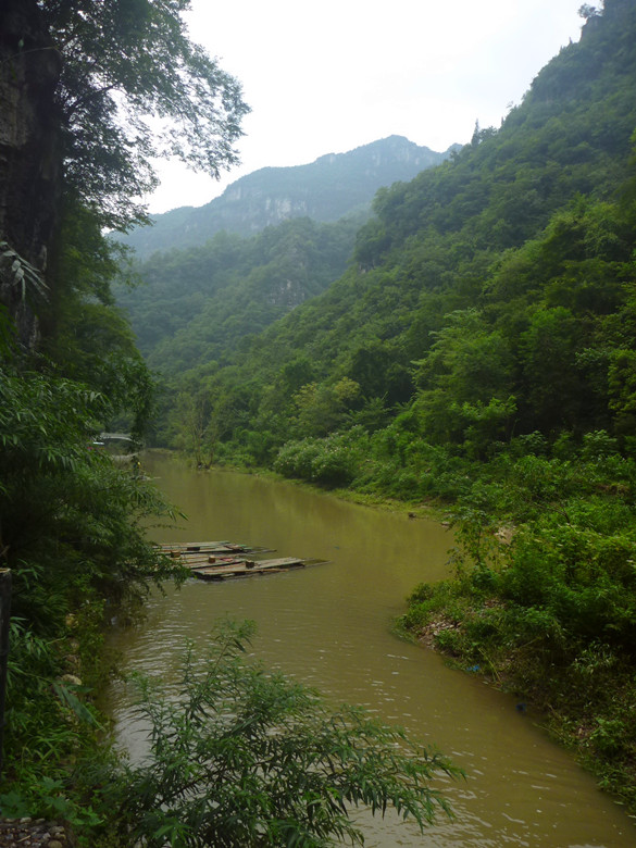 p1120735_.jpg