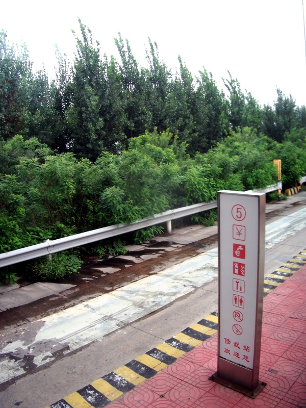 dscf0027.jpg