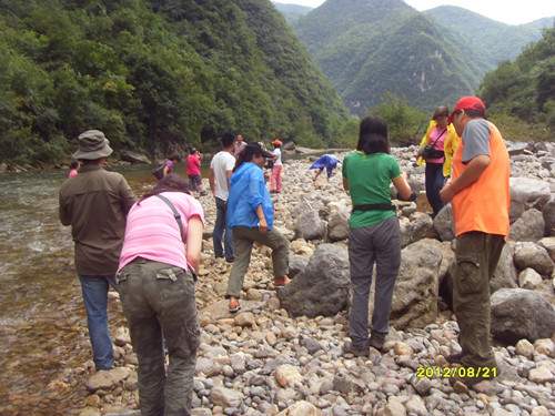 sdc14005_.jpg