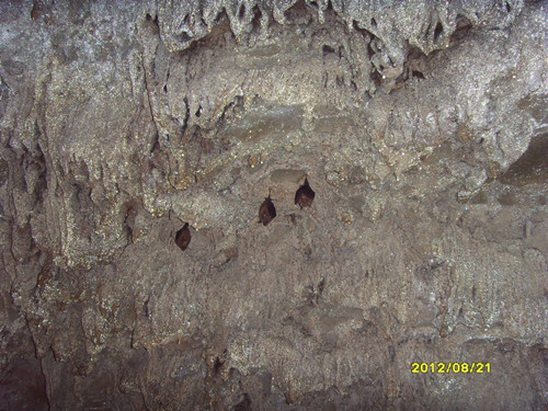sdc14035_.jpg