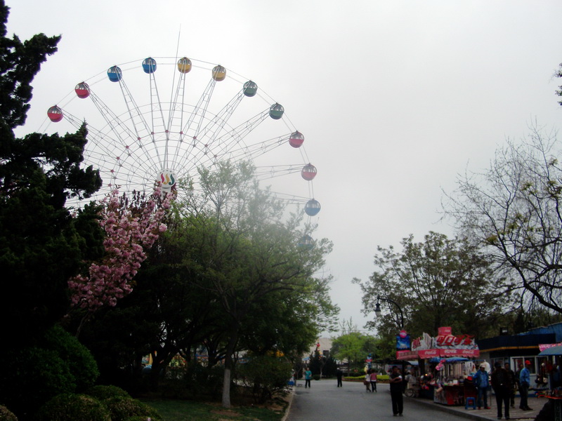 dscf0367.jpg