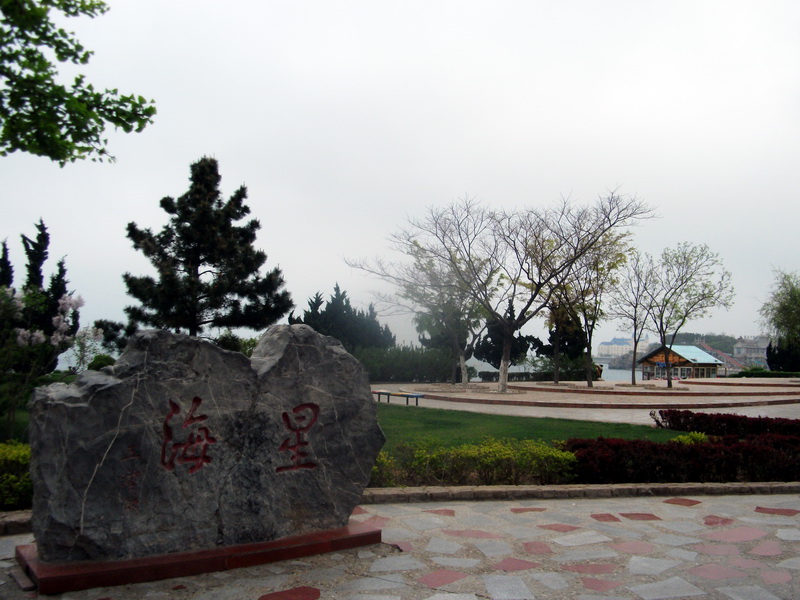 dscf0373.jpg