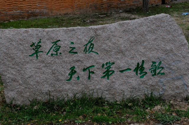 dsc_1006.jpg