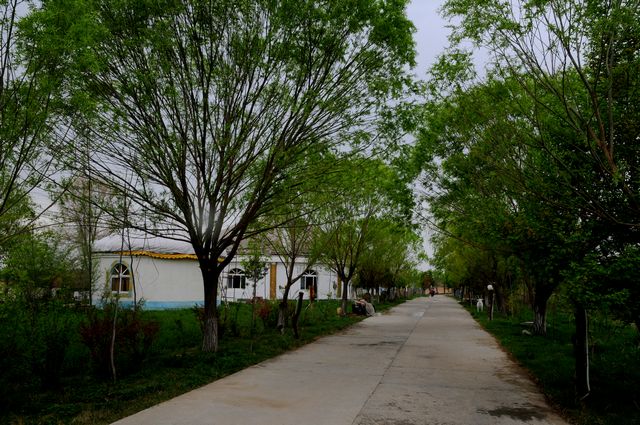 dsc_1015.jpg
