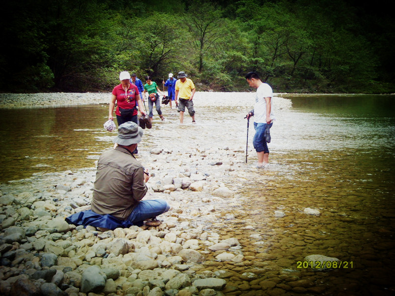 sdc14043_.jpg