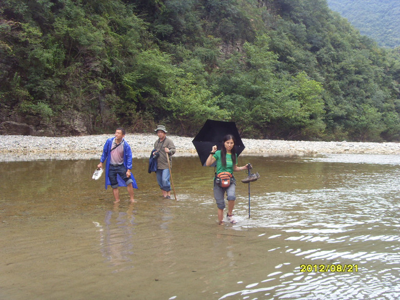 sdc14060_.jpg