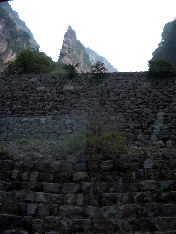 dscf0081.jpg