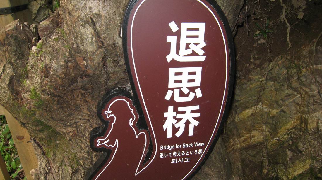 С ũ 246.jpg