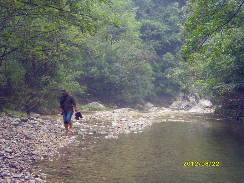 sdc14105_.jpg