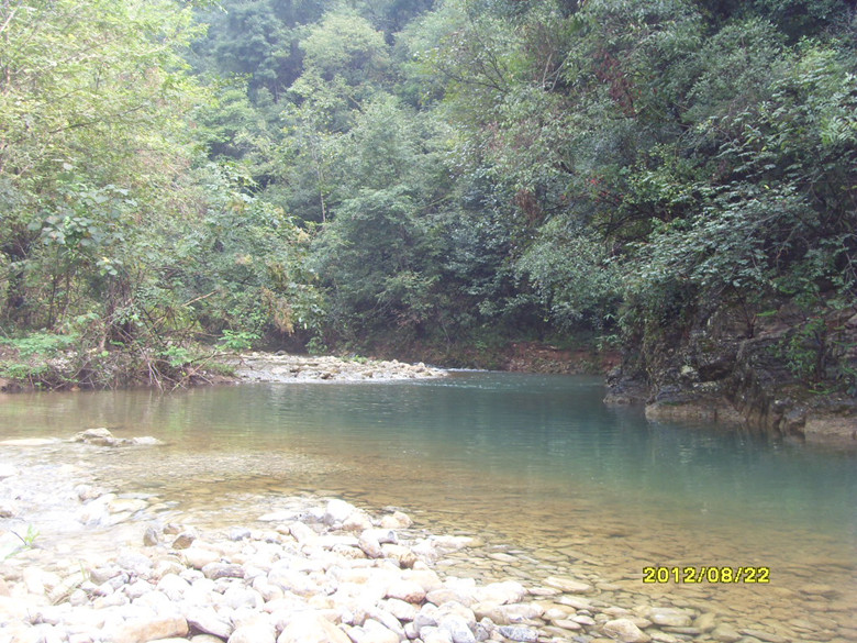 sdc14107_.jpg