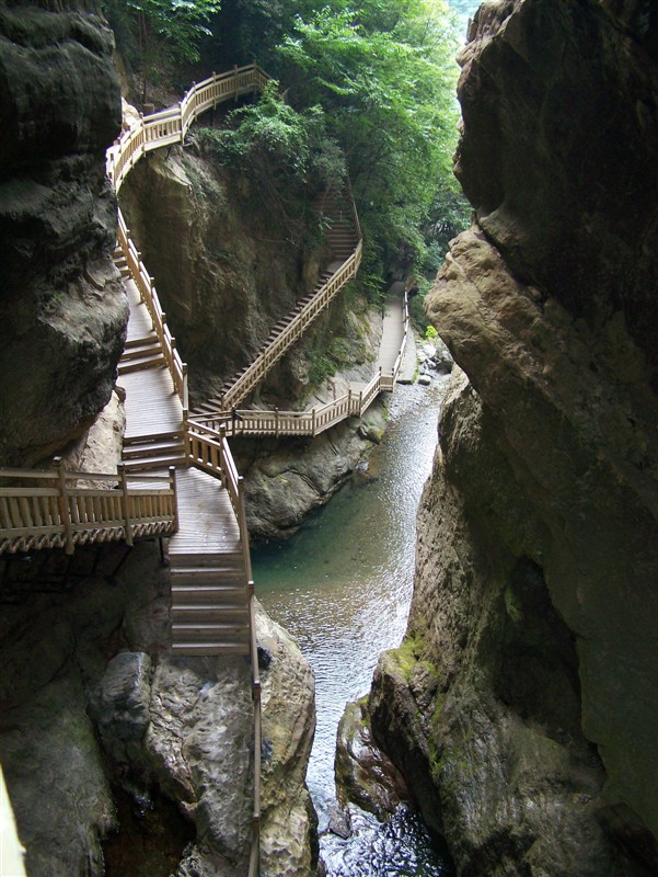 ca852n45.jpg