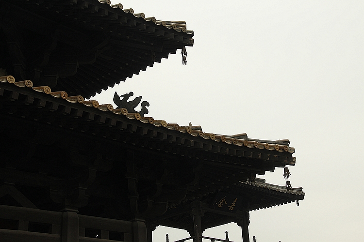 neo_img__mg_3561.jpg