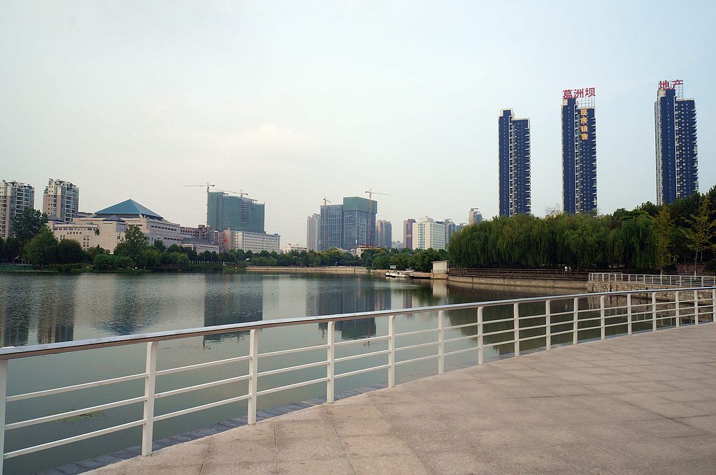 dsc02513.jpg