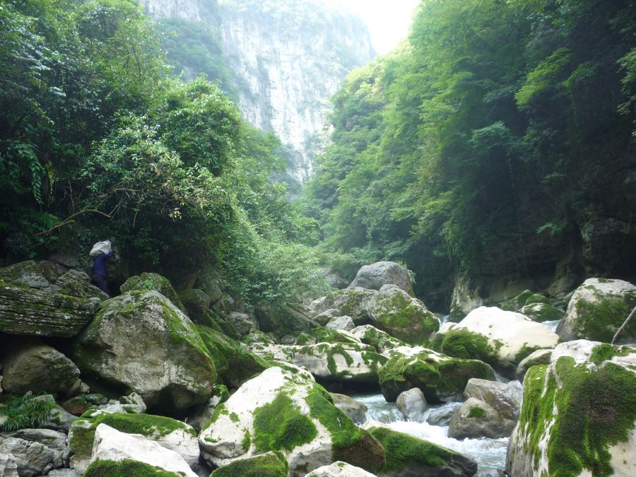 p1120627.jpg
