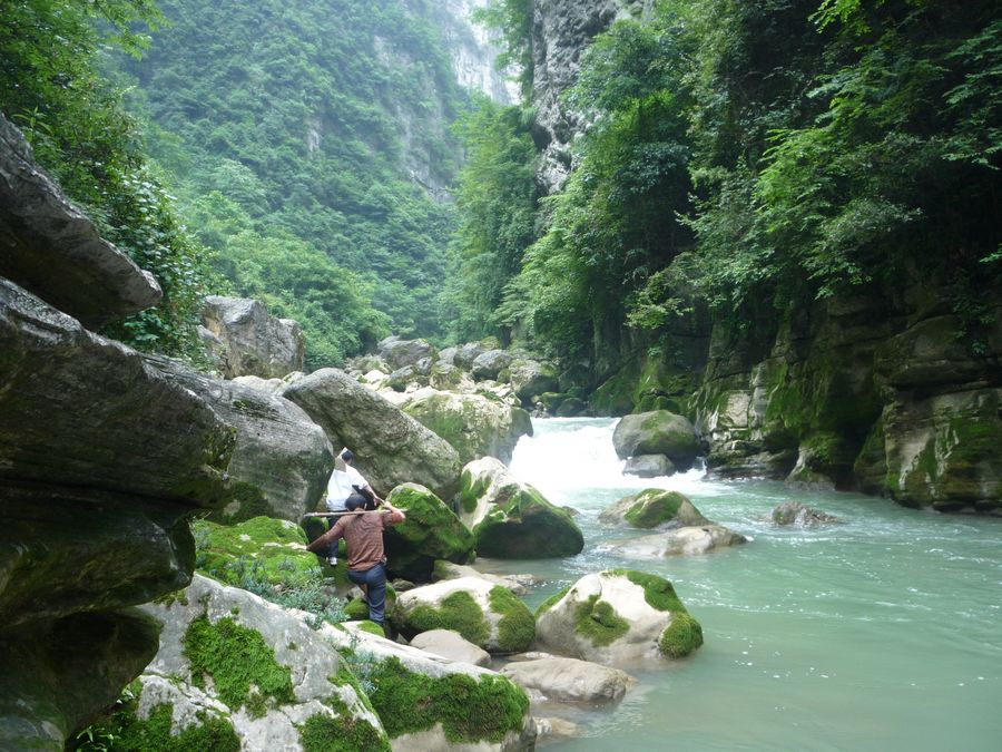 p1120616.jpg