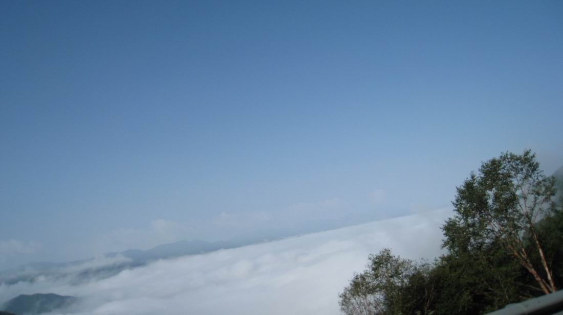 С ũ 1033.jpg