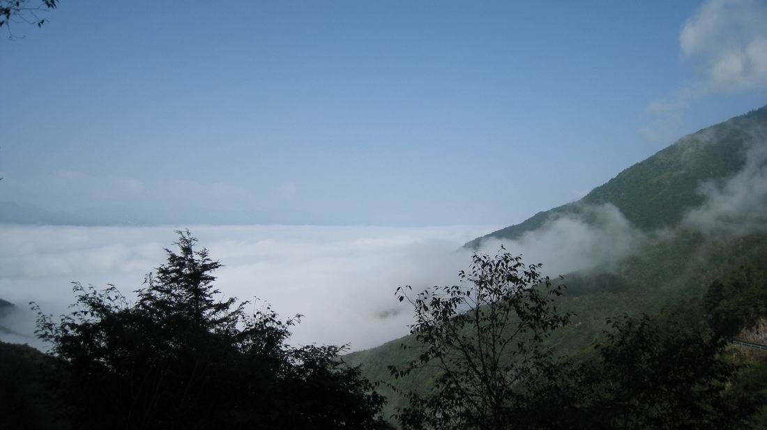 С ũ 1039.jpg