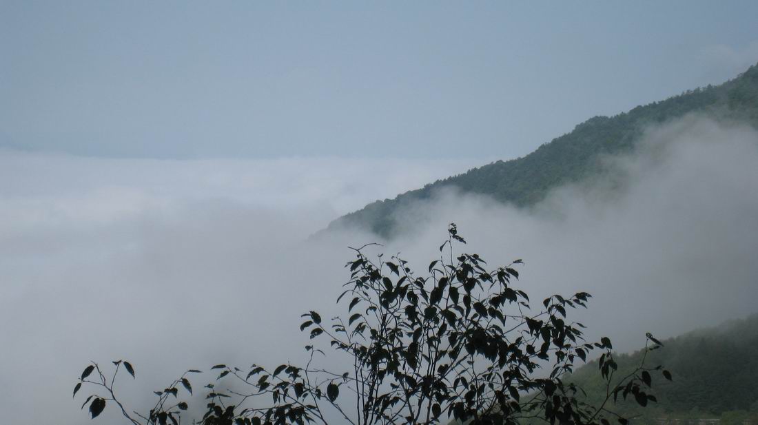 С ũ 1044.jpg