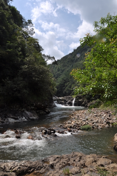 dsc_0261.jpg
