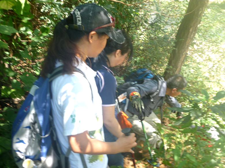 p1120802_.jpg