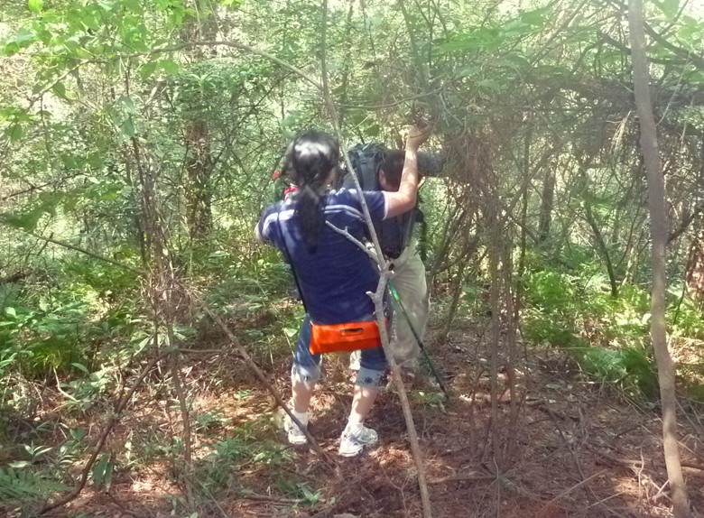 p1120807_.jpg
